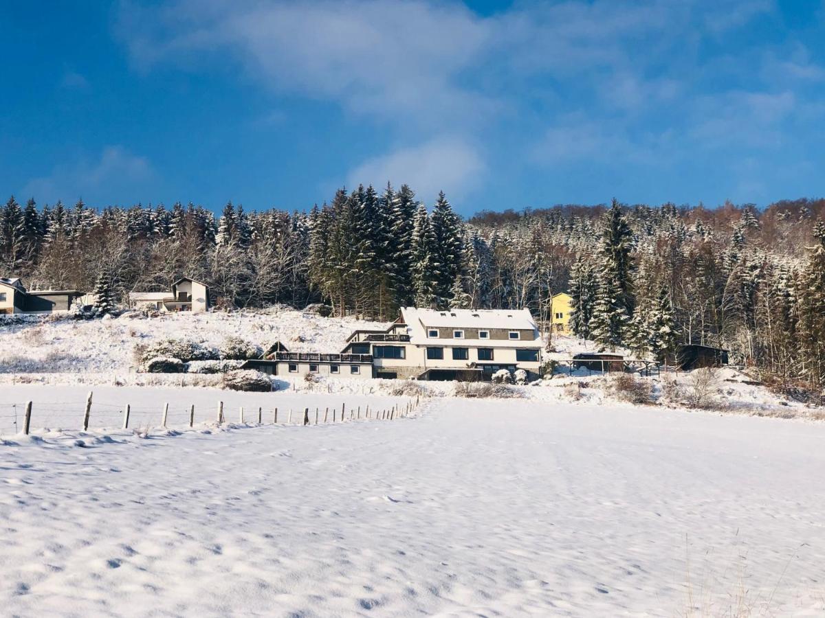 Haus Hubertus Leilighet Willingen  Eksteriør bilde
