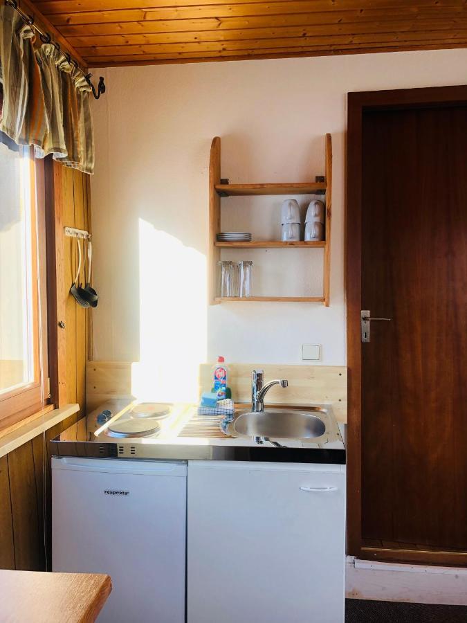 Haus Hubertus Leilighet Willingen  Eksteriør bilde