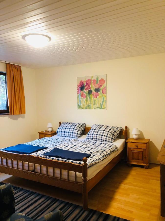 Haus Hubertus Leilighet Willingen  Eksteriør bilde