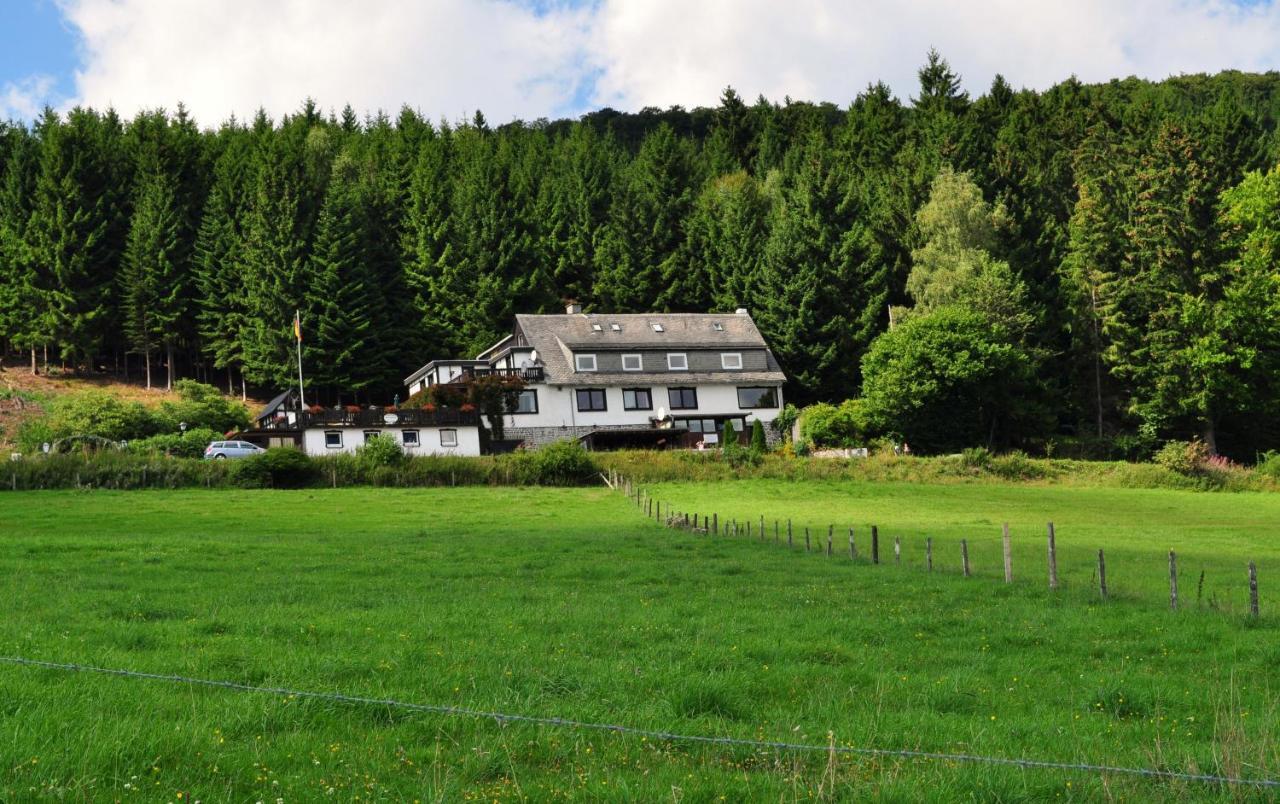 Haus Hubertus Leilighet Willingen  Eksteriør bilde