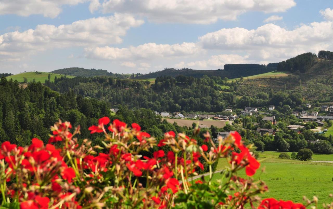 Haus Hubertus Leilighet Willingen  Eksteriør bilde